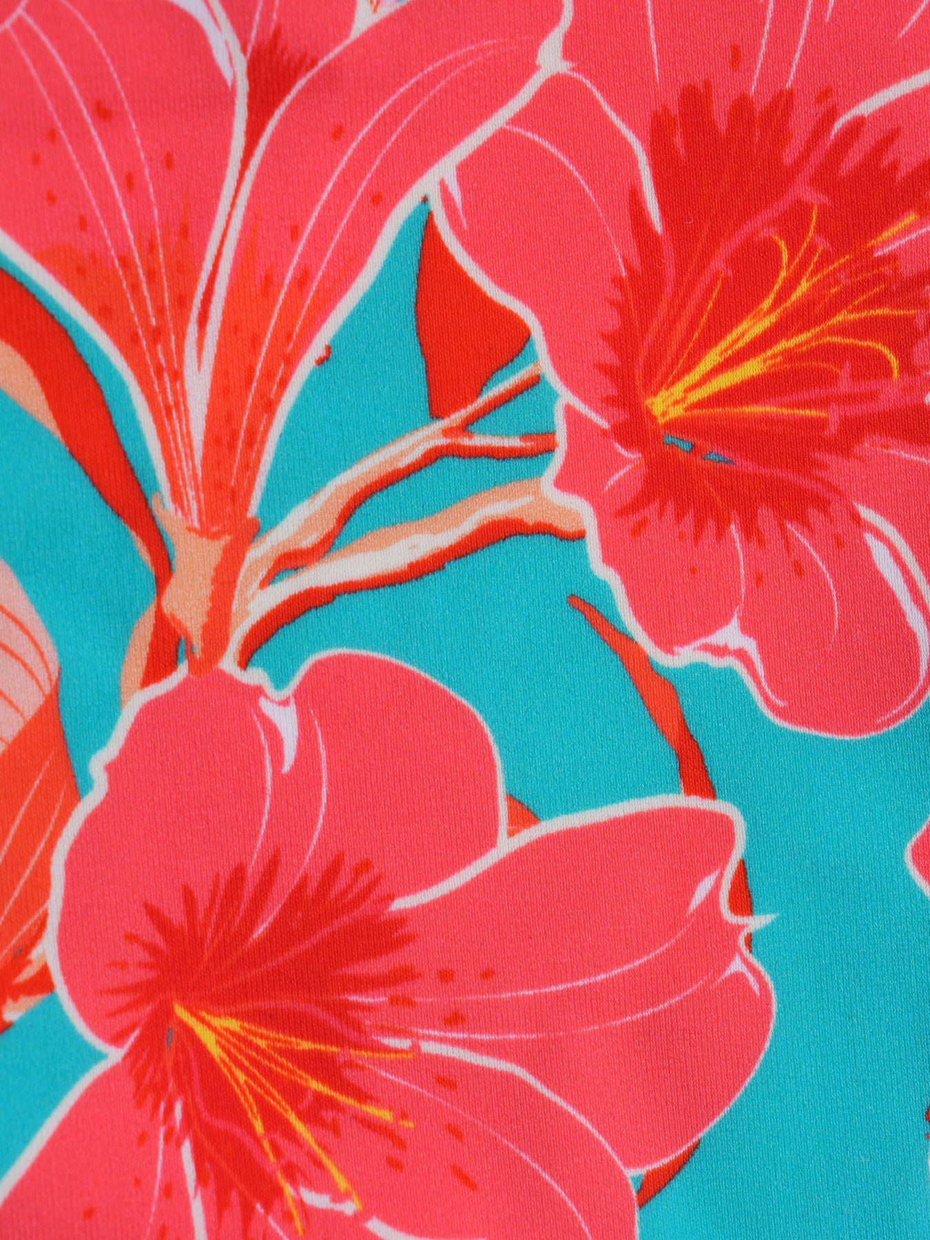 Women's Knitted Nylon Printed Bikini Bottom Bikinis - HAPNIXSTORE